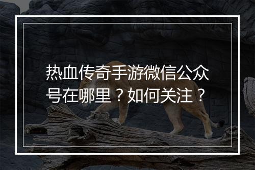 热血传奇手游微信公众号在哪里？如何关注？