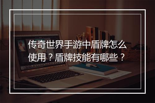 传奇世界手游中盾牌怎么使用？盾牌技能有哪些？