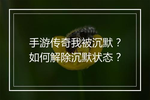 手游传奇我被沉默？如何解除沉默状态？