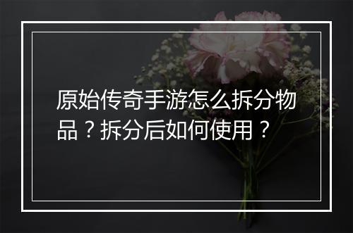 原始传奇手游怎么拆分物品？拆分后如何使用？