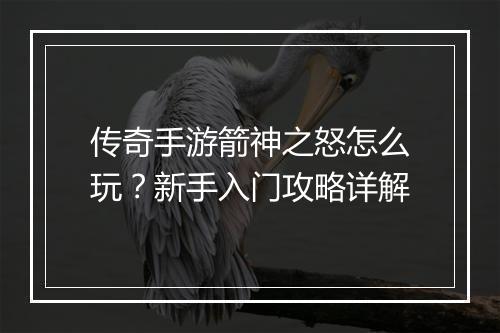 传奇手游箭神之怒怎么玩？新手入门攻略详解