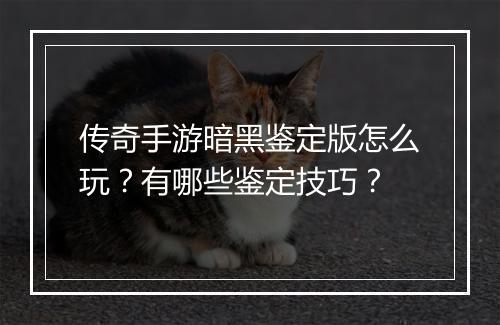 传奇手游暗黑鉴定版怎么玩？有哪些鉴定技巧？