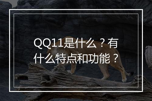 QQ11是什么？有什么特点和功能？