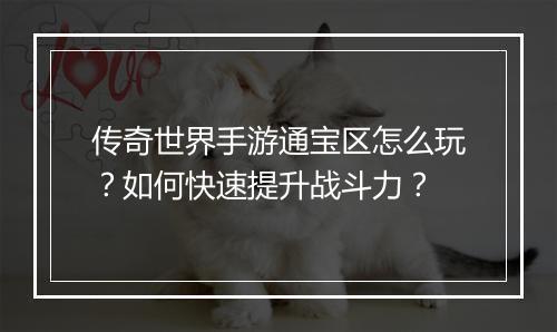 传奇世界手游通宝区怎么玩？如何快速提升战斗力？