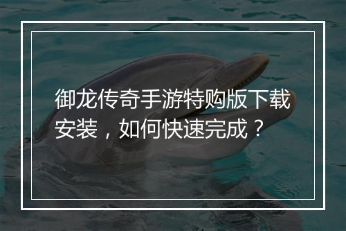 御龙传奇手游特购版下载安装，如何快速完成？