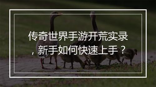 传奇世界手游开荒实录，新手如何快速上手？