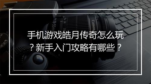 手机游戏皓月传奇怎么玩？新手入门攻略有哪些？