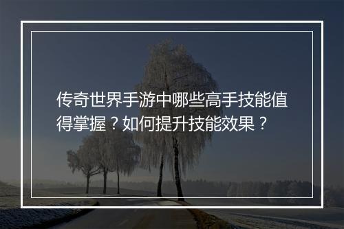 传奇世界手游中哪些高手技能值得掌握？如何提升技能效果？