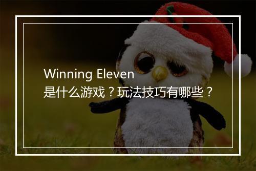 Winning Eleven是什么游戏？玩法技巧有哪些？