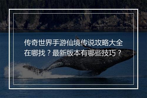 传奇世界手游仙境传说攻略大全在哪找？最新版本有哪些技巧？