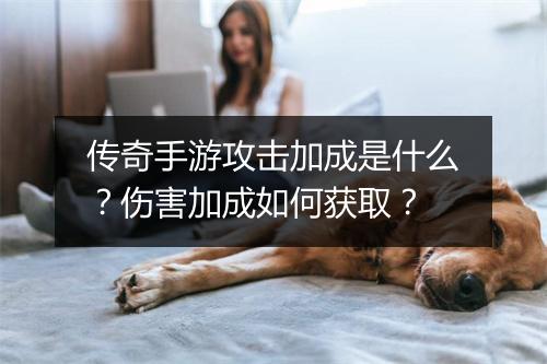 传奇手游攻击加成是什么？伤害加成如何获取？