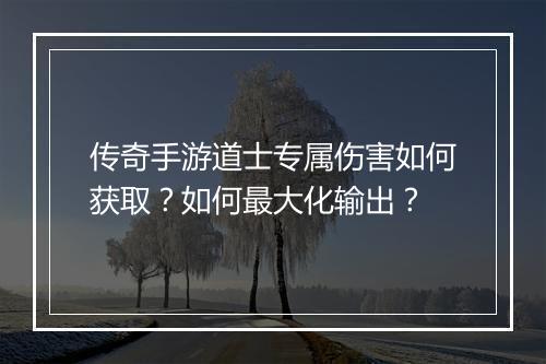 传奇手游道士专属伤害如何获取？如何最大化输出？