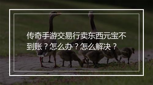 传奇手游交易行卖东西元宝不到账？怎么办？怎么解决？