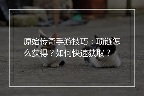 原始传奇手游技巧：项链怎么获得？如何快速获取？