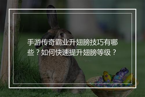 手游传奇霸业升翅膀技巧有哪些？如何快速提升翅膀等级？