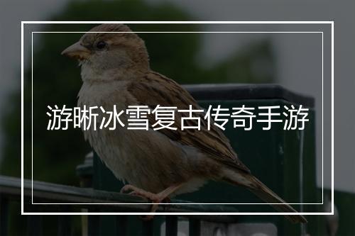 游晰冰雪复古传奇手游