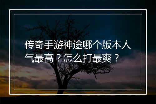 传奇手游神途哪个版本人气最高？怎么打最爽？