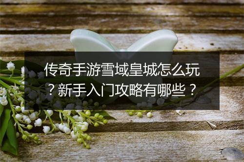 传奇手游雪域皇城怎么玩？新手入门攻略有哪些？