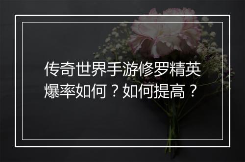 传奇世界手游修罗精英爆率如何？如何提高？