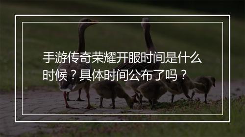 手游传奇荣耀开服时间是什么时候？具体时间公布了吗？