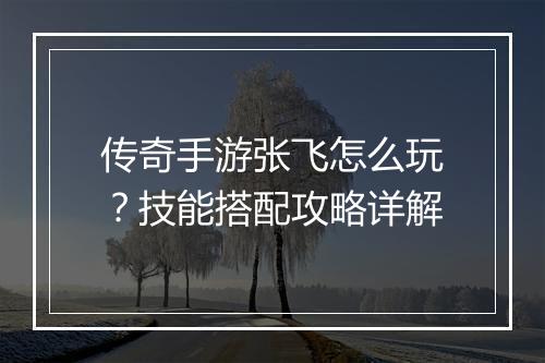 传奇手游张飞怎么玩？技能搭配攻略详解