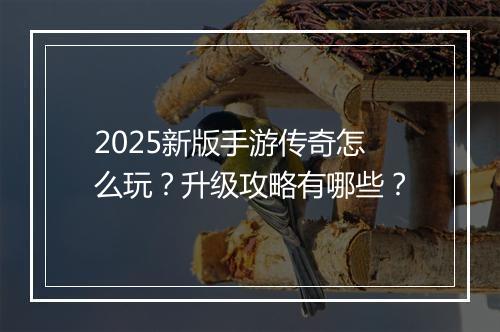 2025新版手游传奇怎么玩？升级攻略有哪些？