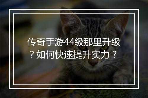传奇手游44级那里升级？如何快速提升实力？