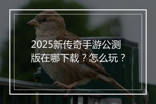 2025新传奇手游公测版在哪下载？怎么玩？