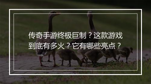 传奇手游终极巨制？这款游戏到底有多火？它有哪些亮点？