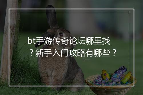 bt手游传奇论坛哪里找？新手入门攻略有哪些？
