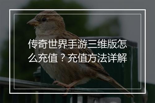 传奇世界手游三维版怎么充值？充值方法详解