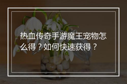 热血传奇手游魔王宠物怎么得？如何快速获得？