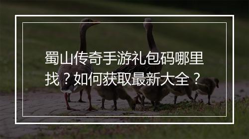 蜀山传奇手游礼包码哪里找？如何获取最新大全？