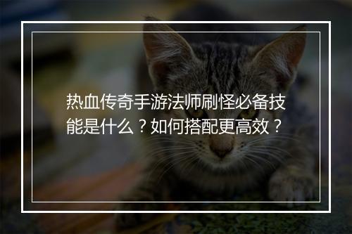 热血传奇手游法师刷怪必备技能是什么？如何搭配更高效？