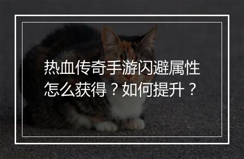 热血传奇手游闪避属性怎么获得？如何提升？