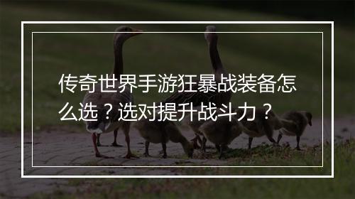 传奇世界手游狂暴战装备怎么选？选对提升战斗力？