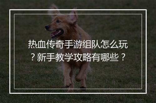 热血传奇手游组队怎么玩？新手教学攻略有哪些？
