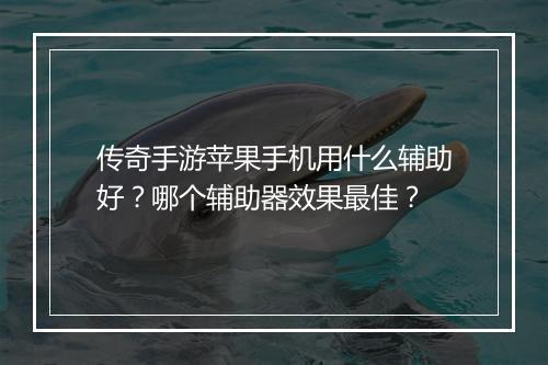 传奇手游苹果手机用什么辅助好？哪个辅助器效果最佳？