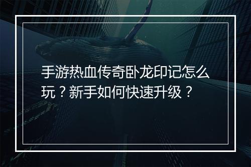 手游热血传奇卧龙印记怎么玩？新手如何快速升级？