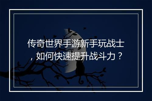 传奇世界手游新手玩战士，如何快速提升战斗力？