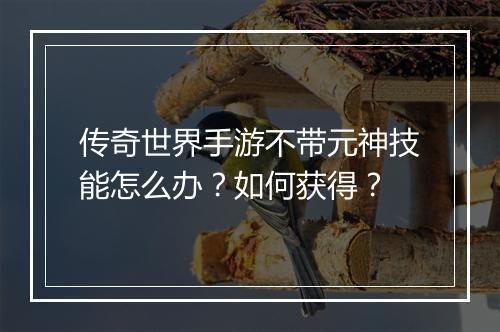 传奇世界手游不带元神技能怎么办？如何获得？