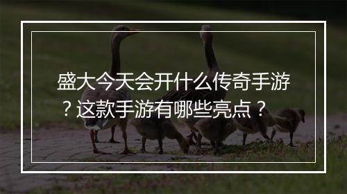 盛大今天会开什么传奇手游？这款手游有哪些亮点？