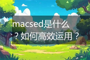 macsed是什么？如何高效运用？