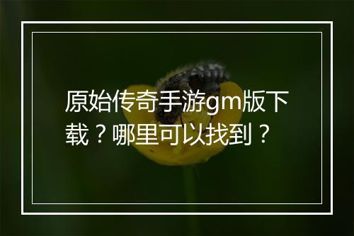 原始传奇手游gm版下载？哪里可以找到？