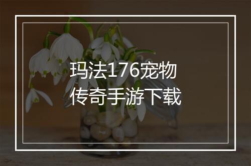 玛法176宠物传奇手游下载