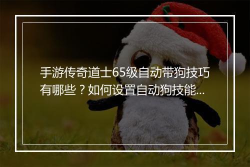 手游传奇道士65级自动带狗技巧有哪些？如何设置自动狗技能？