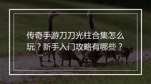 传奇手游刀刀光柱合集怎么玩？新手入门攻略有哪些？