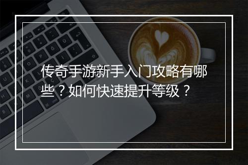 传奇手游新手入门攻略有哪些？如何快速提升等级？