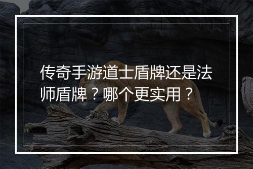 传奇手游道士盾牌还是法师盾牌？哪个更实用？
