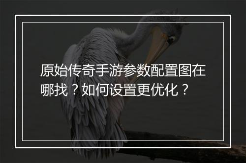 原始传奇手游参数配置图在哪找？如何设置更优化？
